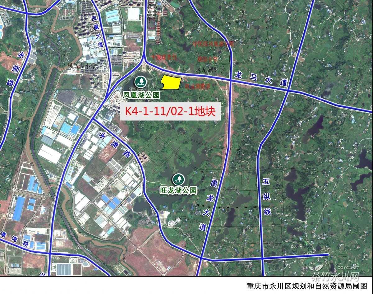 图片源于永川区公共资源交易中心网