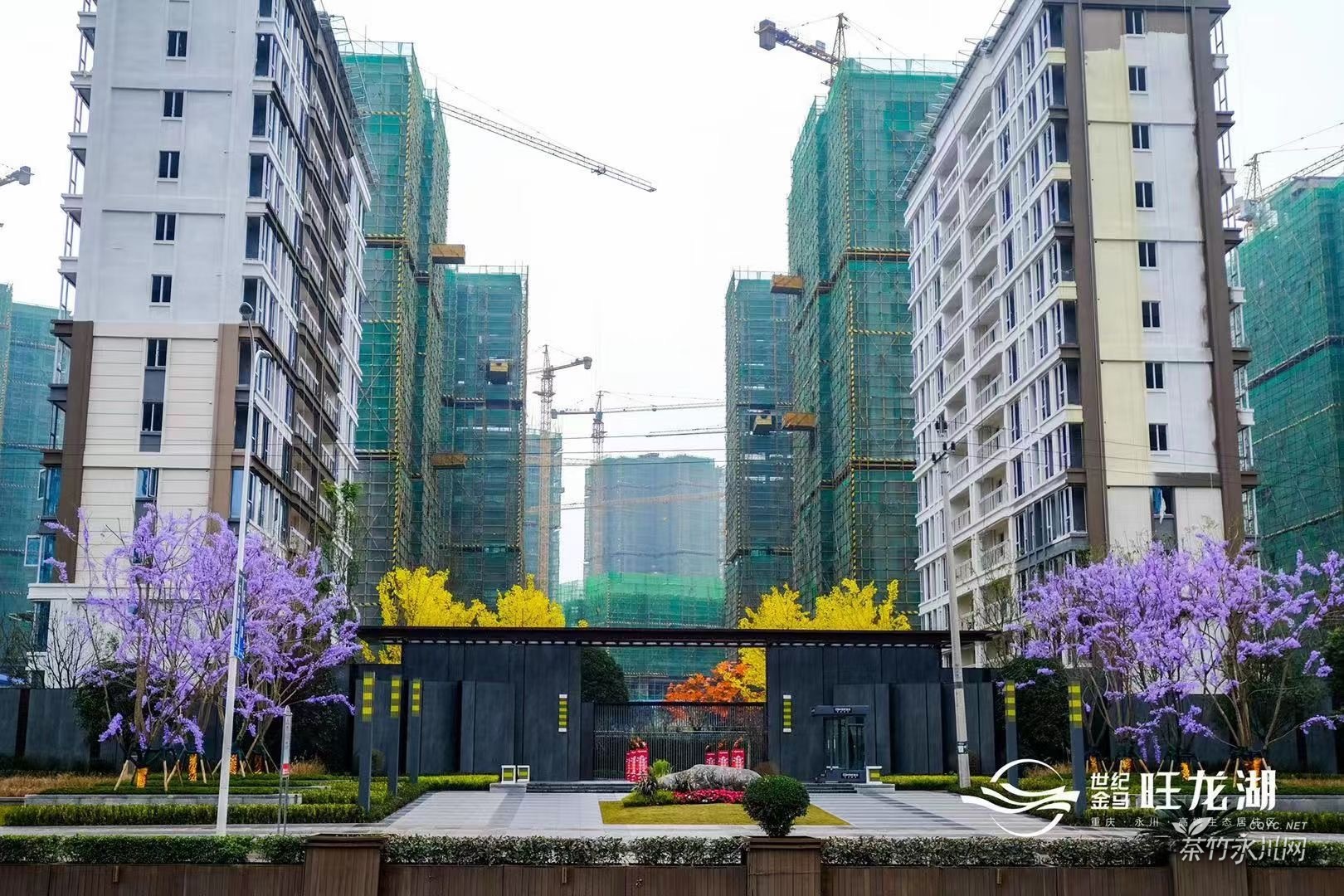 世纪金马旺龙湖·雲景工程进度