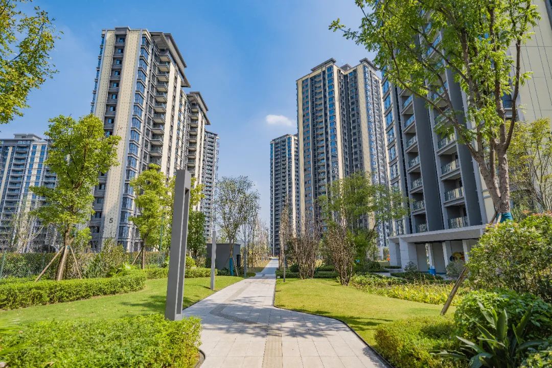 世纪金马·旺龙湖业主开放日圆满落幕,预鉴美好生活!